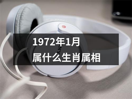 1972年1月属什么生肖属相