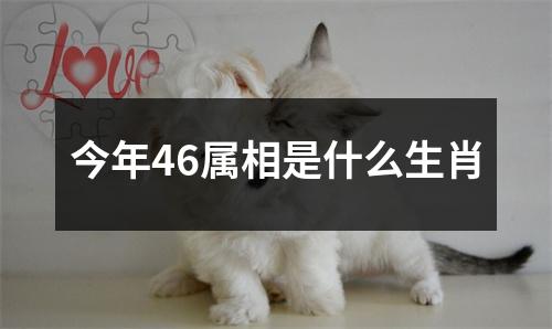 今年46属相是什么生肖