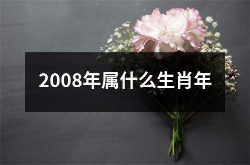 2008年属什么生肖年