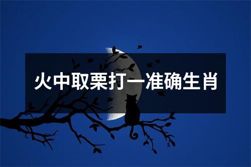 火中取栗打一准确生肖