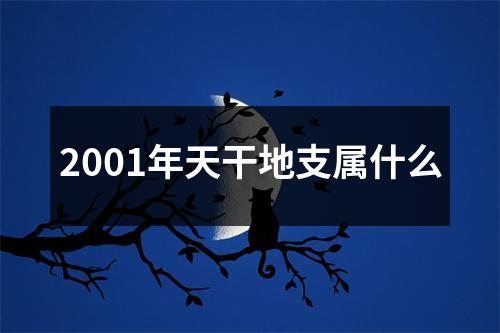 2001年天干地支属什么