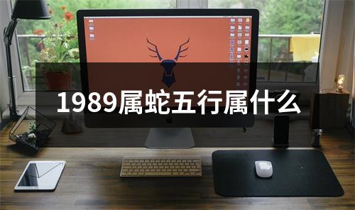 1989属蛇五行属什么