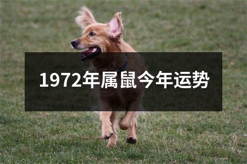 1972年属鼠今年运势