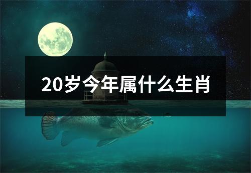 20岁今年属什么生肖