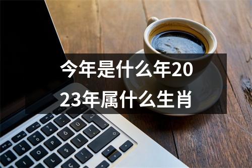 今年是什么年2023年属什么生肖