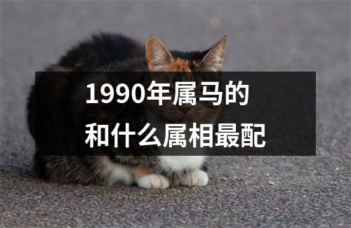 1990年属马的和什么属相最配