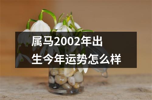 属马2002年出生今年运势怎么样