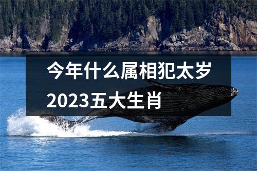 今年什么属相犯太岁2023五大生肖