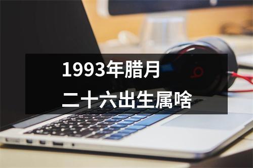 1993年腊月二十六出生属啥