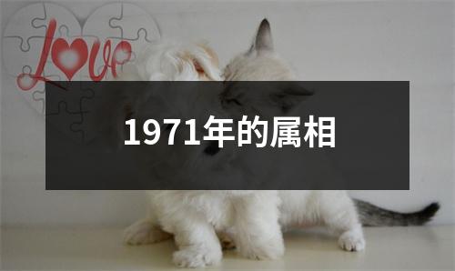 1971年的属相