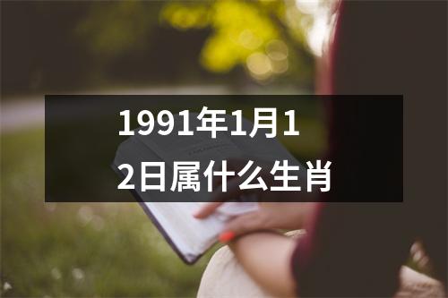 1991年1月12日属什么生肖