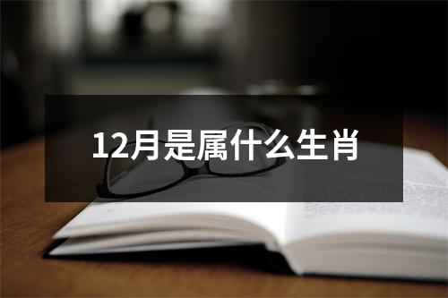 12月是属什么生肖