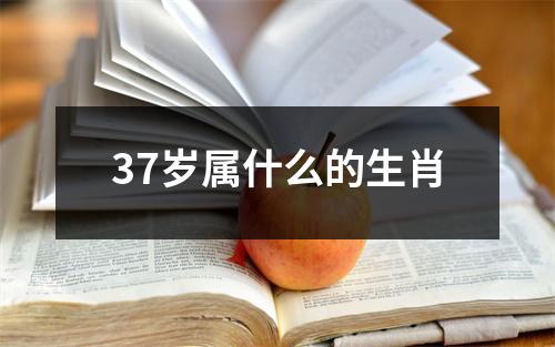 37岁属什么的生肖