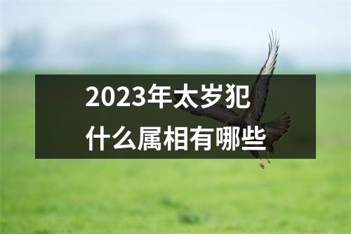 2023年太岁犯什么属相有哪些