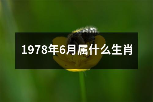 1978年6月属什么生肖