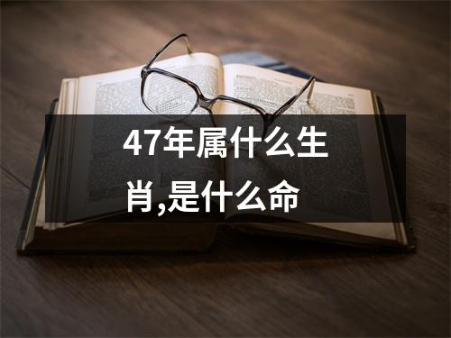 47年属什么生肖,是什么命