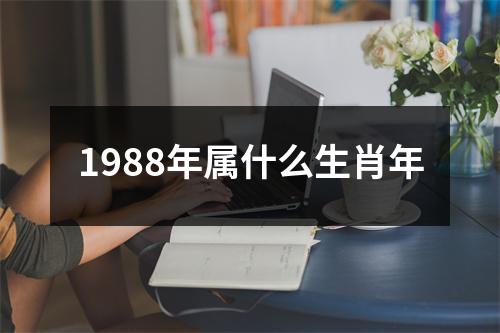 1988年属什么生肖年