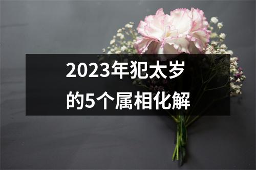 2023年犯太岁的5个属相化解