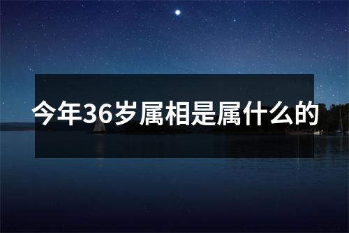 今年36岁属相是属什么的