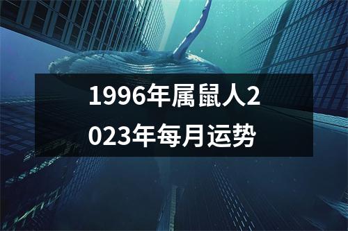 1996年属鼠人2023年每月运势