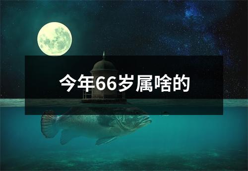 今年66岁属啥的