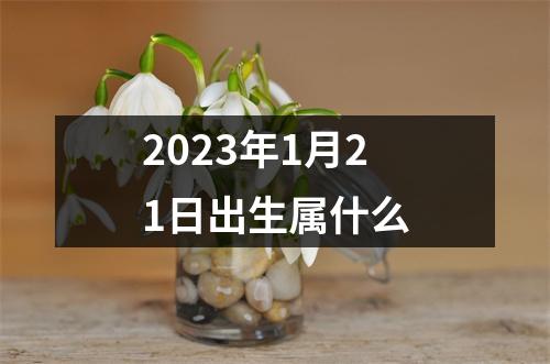 2023年1月21日出生属什么