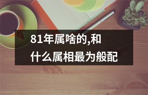 81年属啥的,和什么属相最为般配