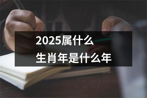 2025属什么生肖年是什么年