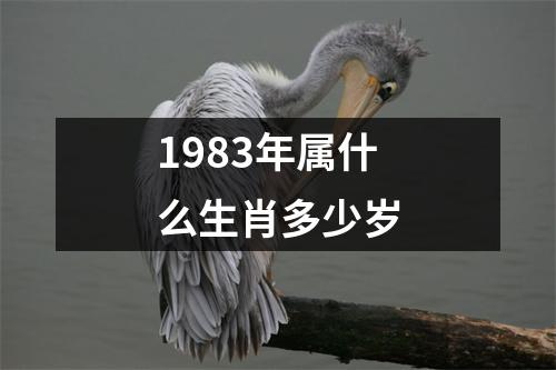 1983年属什么生肖多少岁