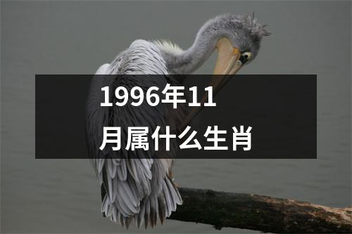 1996年11月属什么生肖