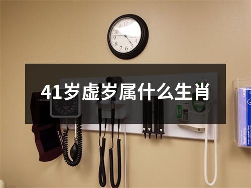 41岁虚岁属什么生肖