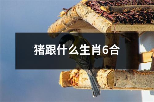 猪跟什么生肖6合