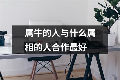 属牛的人与什么属相的人合作最好