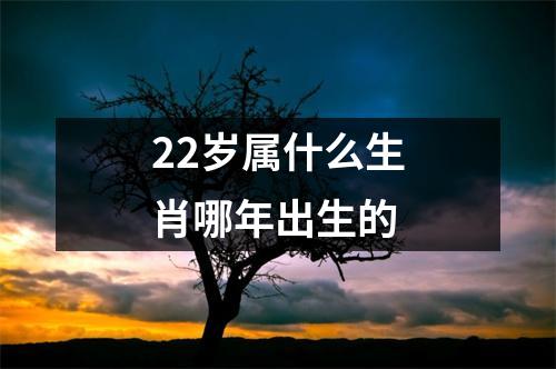 22岁属什么生肖哪年出生的