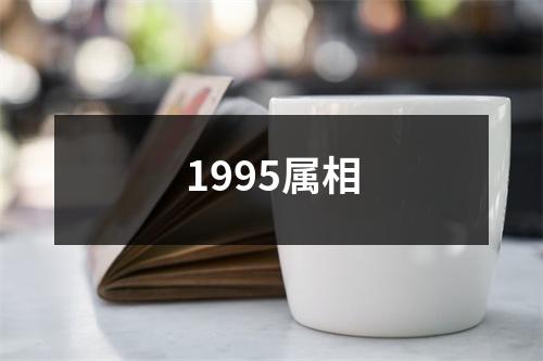 1995属相