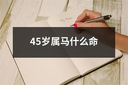 45岁属马什么命