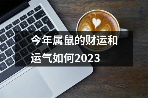 今年属鼠的财运和运气如何2023