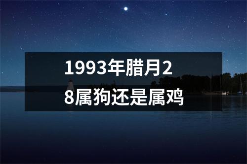 1993年腊月28属狗还是属鸡