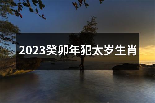 2023癸卯年犯太岁生肖