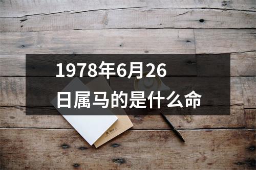 1978年6月26日属马的是什么命