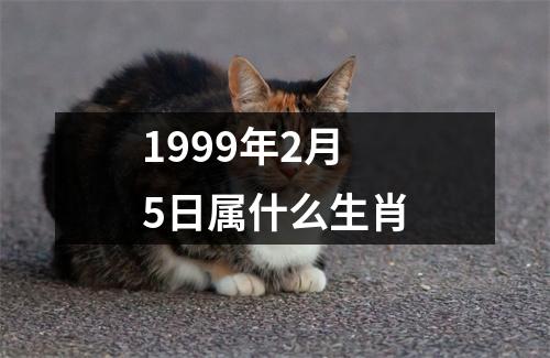 1999年2月5日属什么生肖