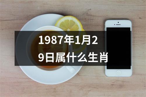 1987年1月29日属什么生肖