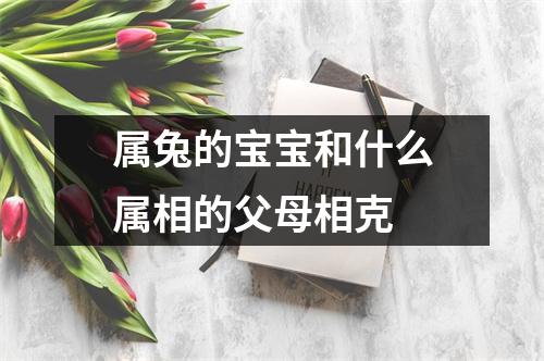 属兔的宝宝和什么属相的父母相克