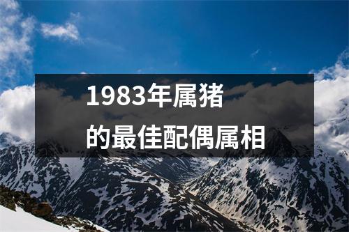 1983年属猪的最佳配偶属相