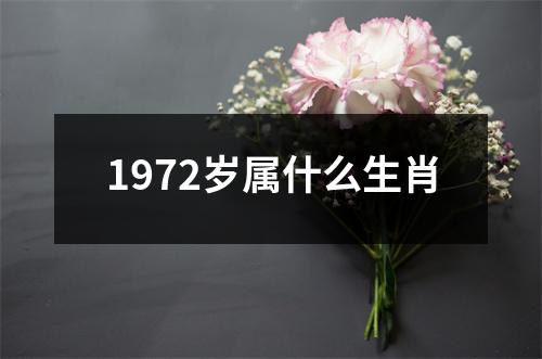 1972岁属什么生肖