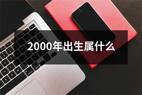 2000年出生属什么