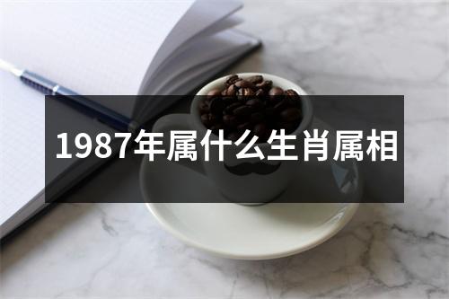 1987年属什么生肖属相