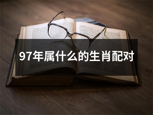 97年属什么的生肖配对