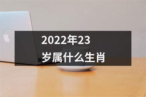 2022年23岁属什么生肖