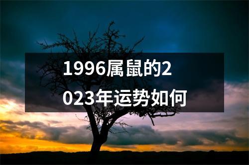 1996属鼠的2023年运势如何